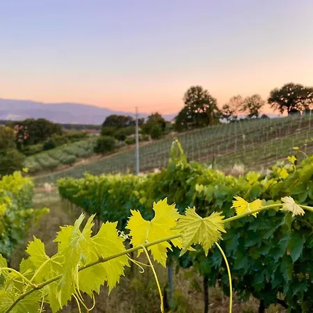 Donna Vittori - Borgo Agricolo 3* Paliano