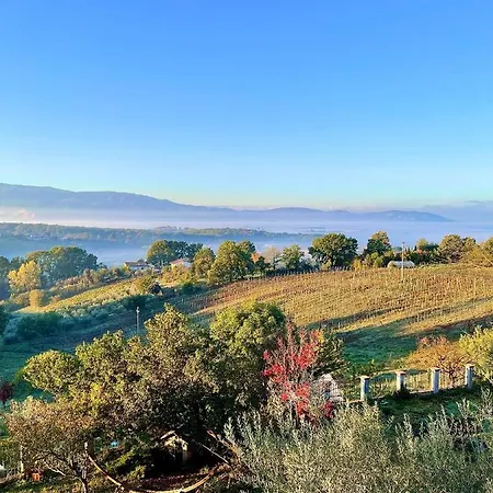 Donna Vittori - Borgo Agricolo Paliano