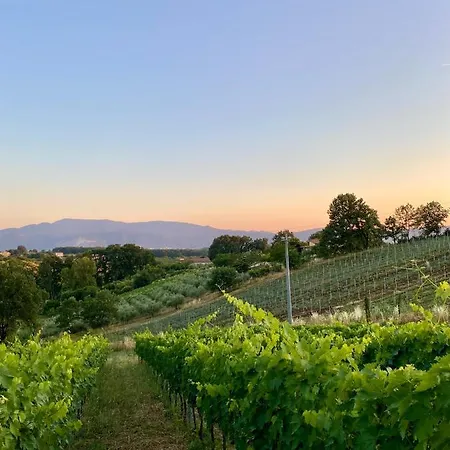 Donna Vittori - Borgo Agricolo 公寓式酒店