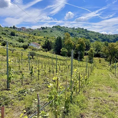 Donna Vittori - Borgo Agricolo *