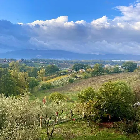 Donna Vittori - Borgo Agricolo