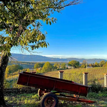 Aparthotel Donna Vittori - Borgo Agricolo Paliano