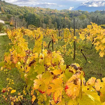 公寓式酒店 Donna Vittori - Borgo Agricolo Paliano