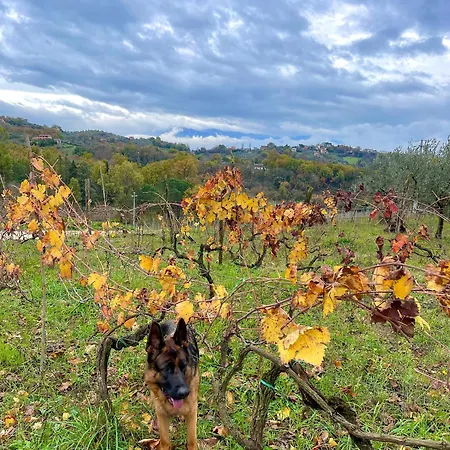 Donna Vittori - Borgo Agricolo Aparthotel 3*